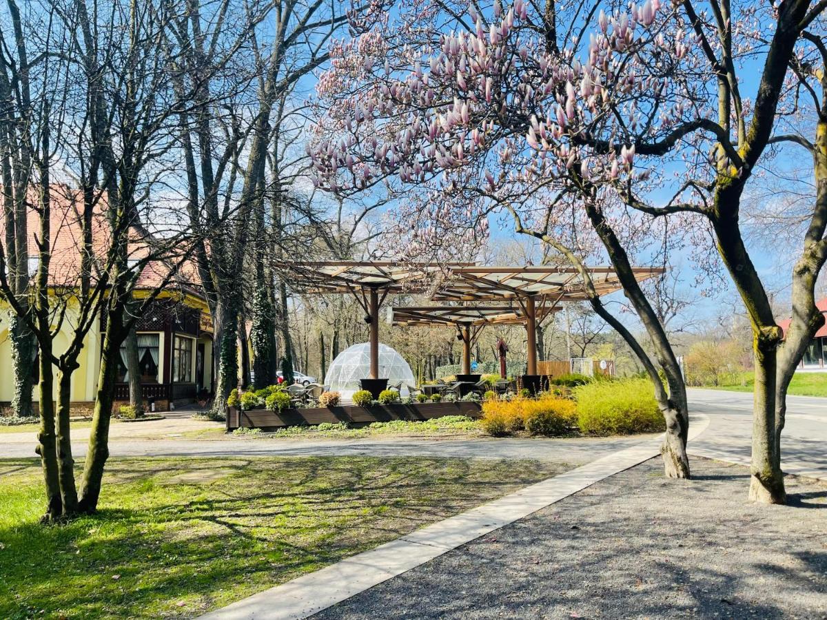 Villa Hotel Дебрецен Екстериор снимка