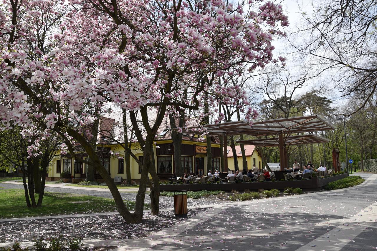 Villa Hotel Дебрецен Екстериор снимка